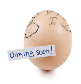 We think you'll love what hatches, stay tuned!